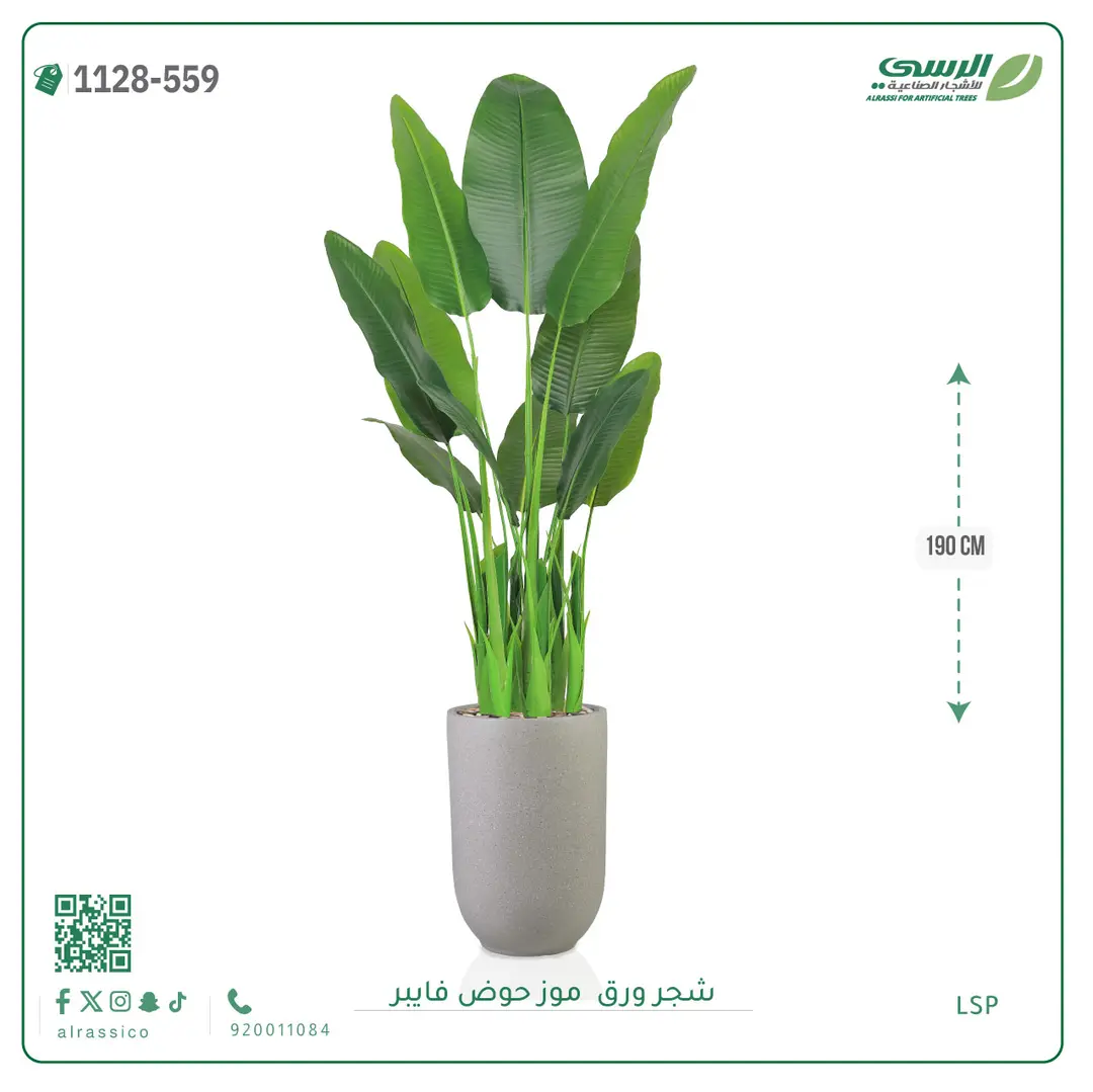  شجرة موز صناعية ( ارتفاع 190 سم ) حوض فيبر 