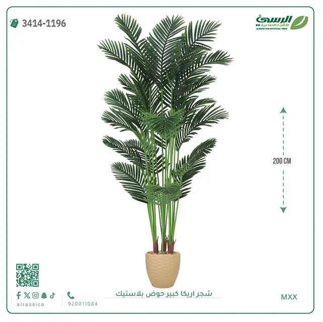  شجر أريكا صناعية ( ارتفاع 200 سم ) حوض بلاستك 
