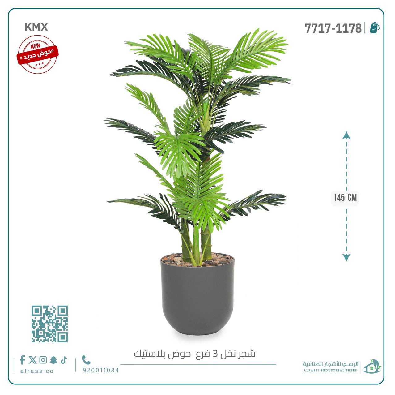  نخل أريكا صغير (3 فروع) بمركن بلاستيك أسطواني 