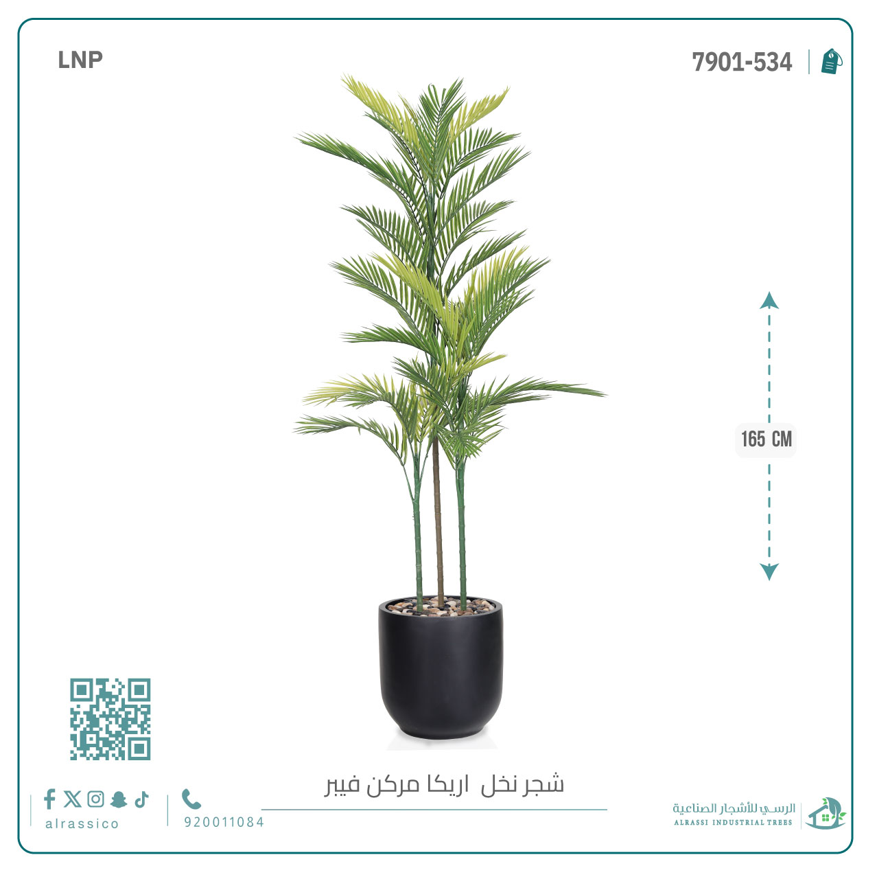  نخل أريكا اصطناعية (3 فرع) بمركن فيبر  أسطواني 