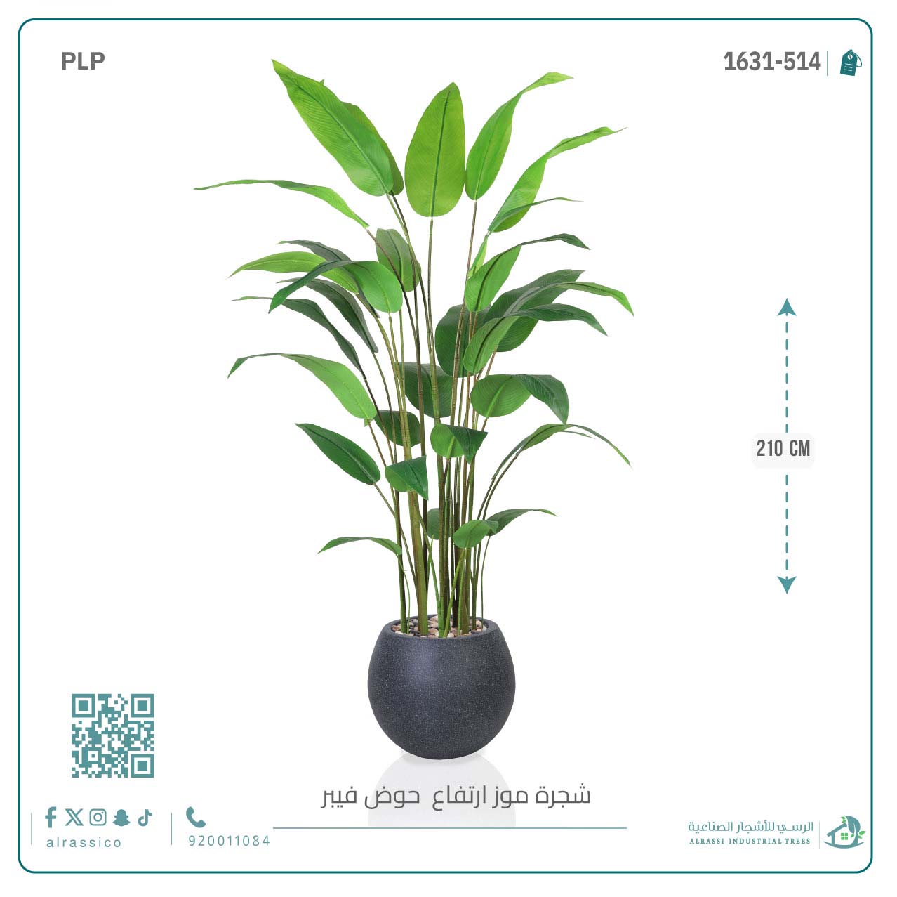 شجرة عصفور الجنة الاصطناعية الكبيرة بمركن فيبر دائرى  