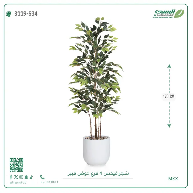  شجرة فيكس صناعية (ارتفاع 170 سم) بحوض فيبر 