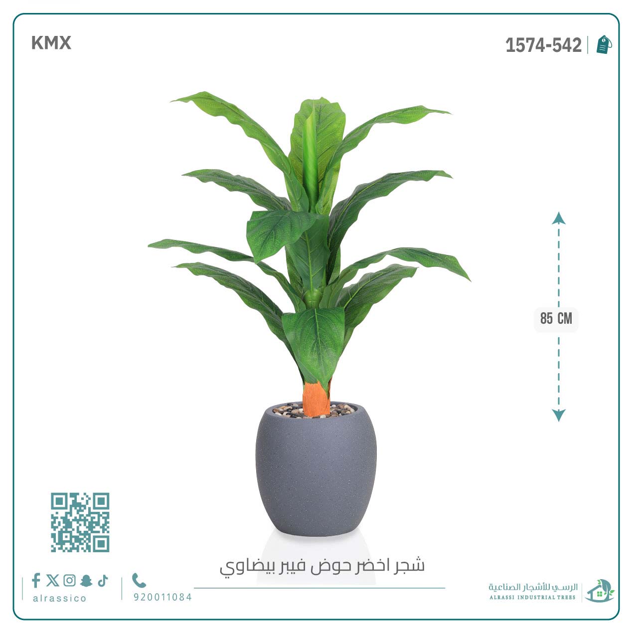  شجرة ورق موز حوض فيبر بيضوي 