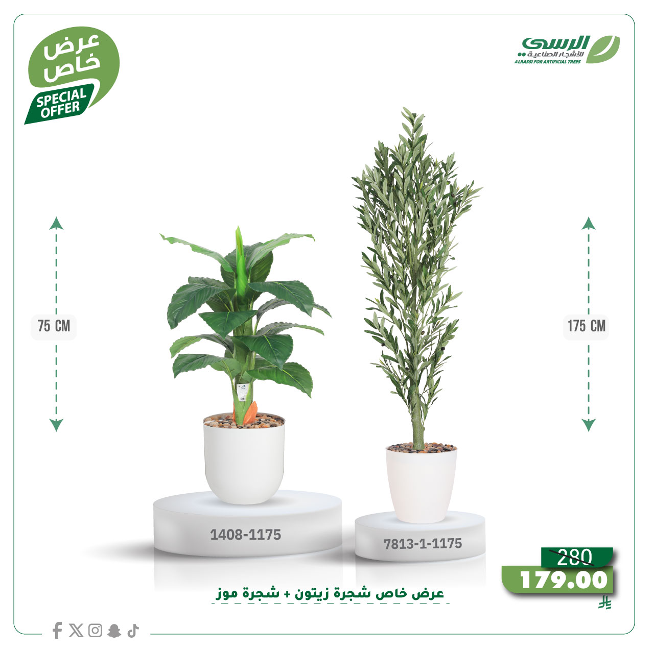  عرض شجرة زيتون صناعية ( ارتفاع 175 سم ) + شجرة ورق موز صناعية ( ارتفاع 75 سم ) حوض بلاستيك 