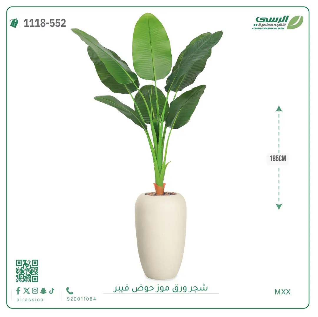  شجرة موز صناعية ( ارتفاع 185 سم ) حوض فيبر 