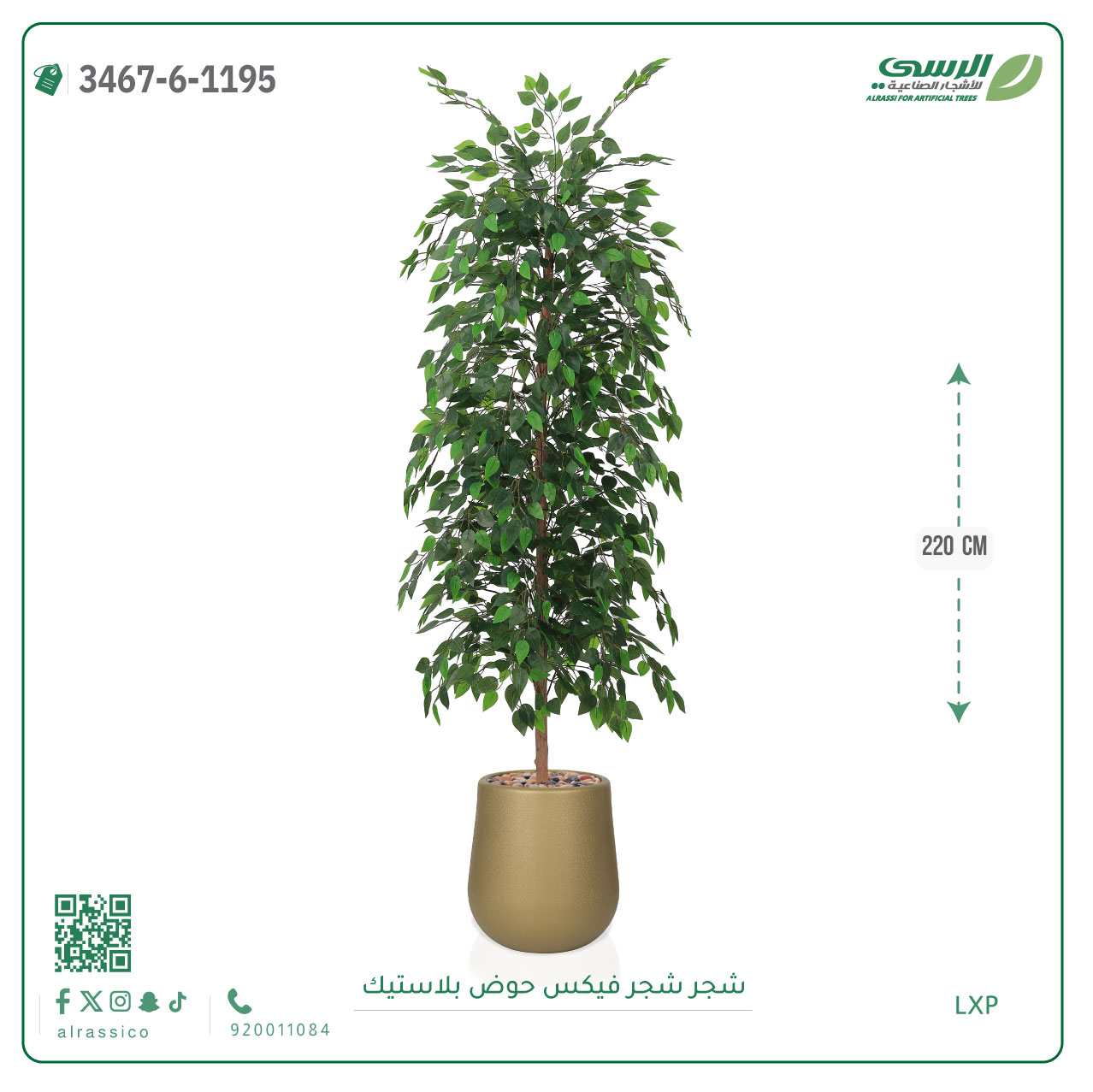  شجرة فيكس صناعية ( ارتفاع 220 سم ) حوض بلاستك 