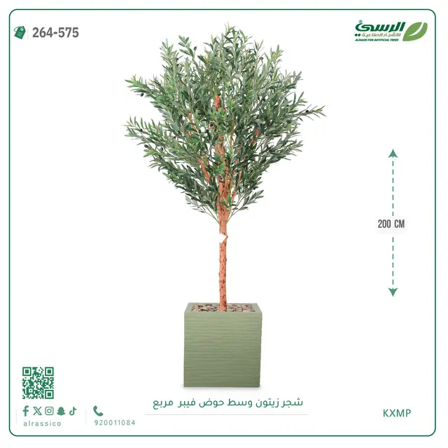  شجرة زيتون صناعية (ارتفاع 200 سم) بحوض فيبر مربع 