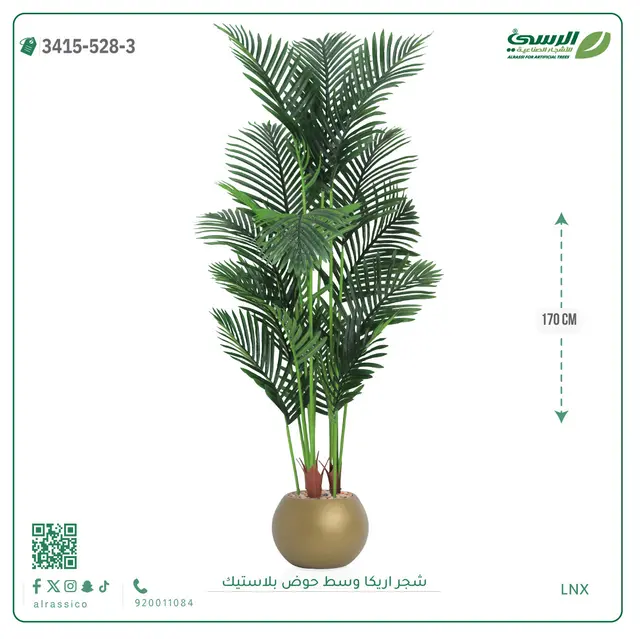  شجر أريكا صناعية ( ارتفاع 170 سم ) حوض بلاستك 