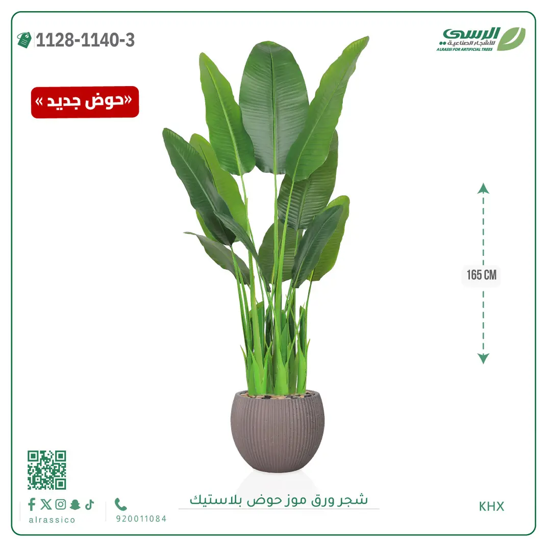  شجرة موز صناعية ( ارتفاع 165 سم ) حوض بلاستيك 