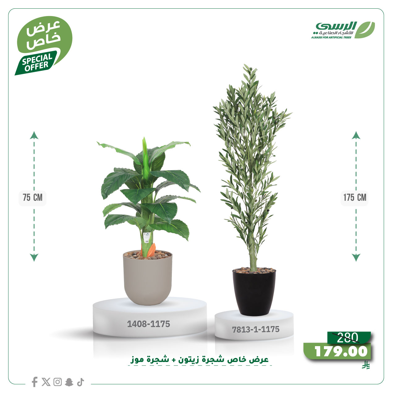  عرض شجرة زيتون صناعية ( ارتفاع 175 سم ) + شجرة ورق موز صناعية ( ارتفاع 75 سم ) حوض بلاستيك 