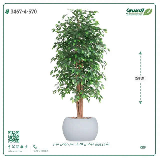  شجر فيكس صناعية (ارتفاع 220 سم) حوض فيبر 