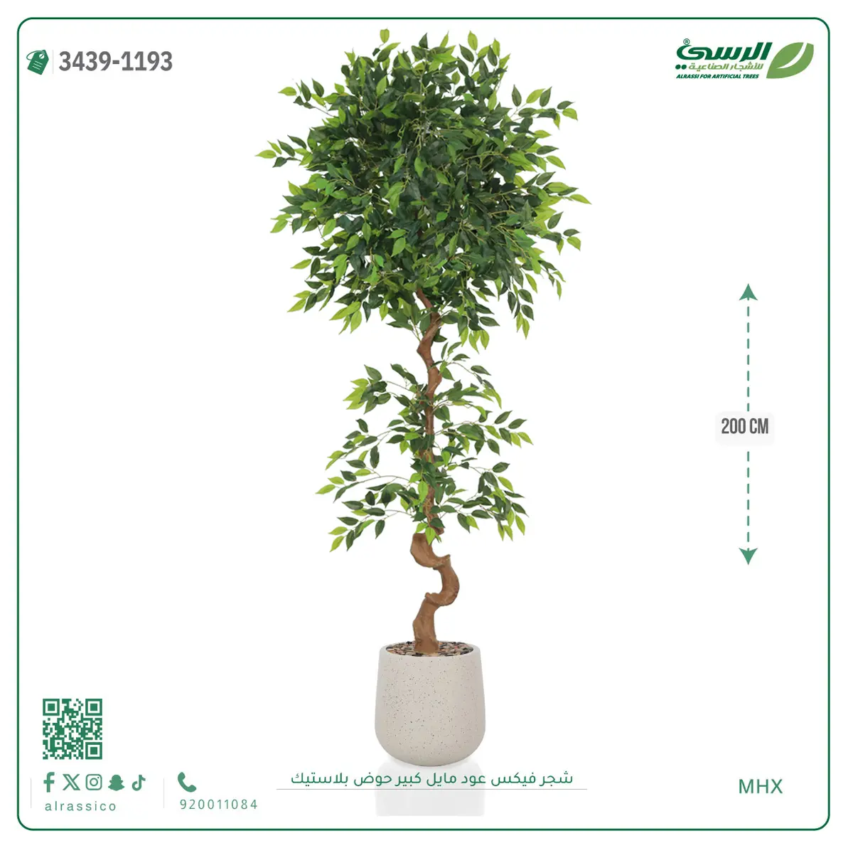 شجرة فيكس صناعية عود مائل (ارتفاع 200 سم) حوض بلاستيك 