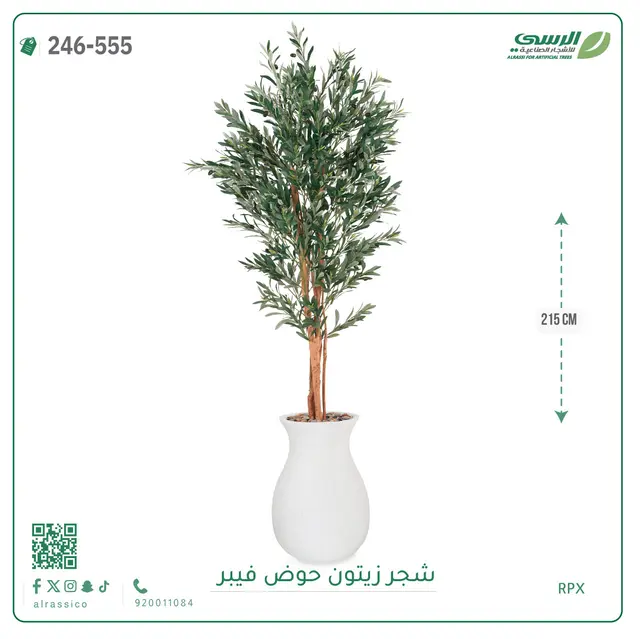  شجر زيتون صناعية ( ارتفاع 215 سم ) حوض فيبر 