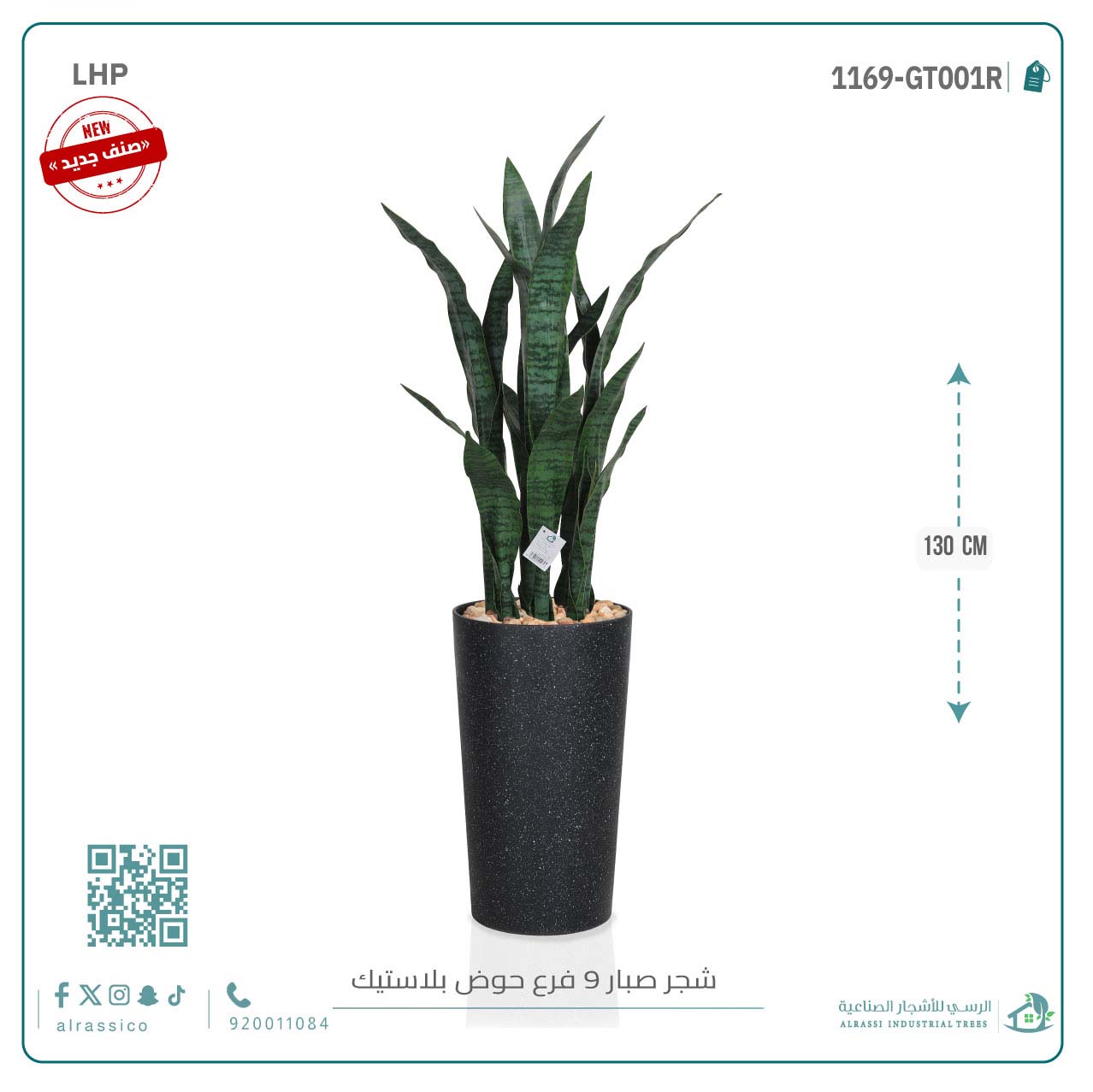  صبار جلد النمر أخضر ب9 فروع 