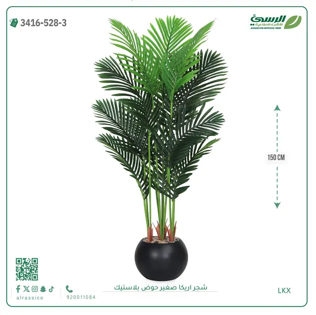  شجر أريكا صناعية ( ارتفاع 150 سم ) حوض بلاستك 