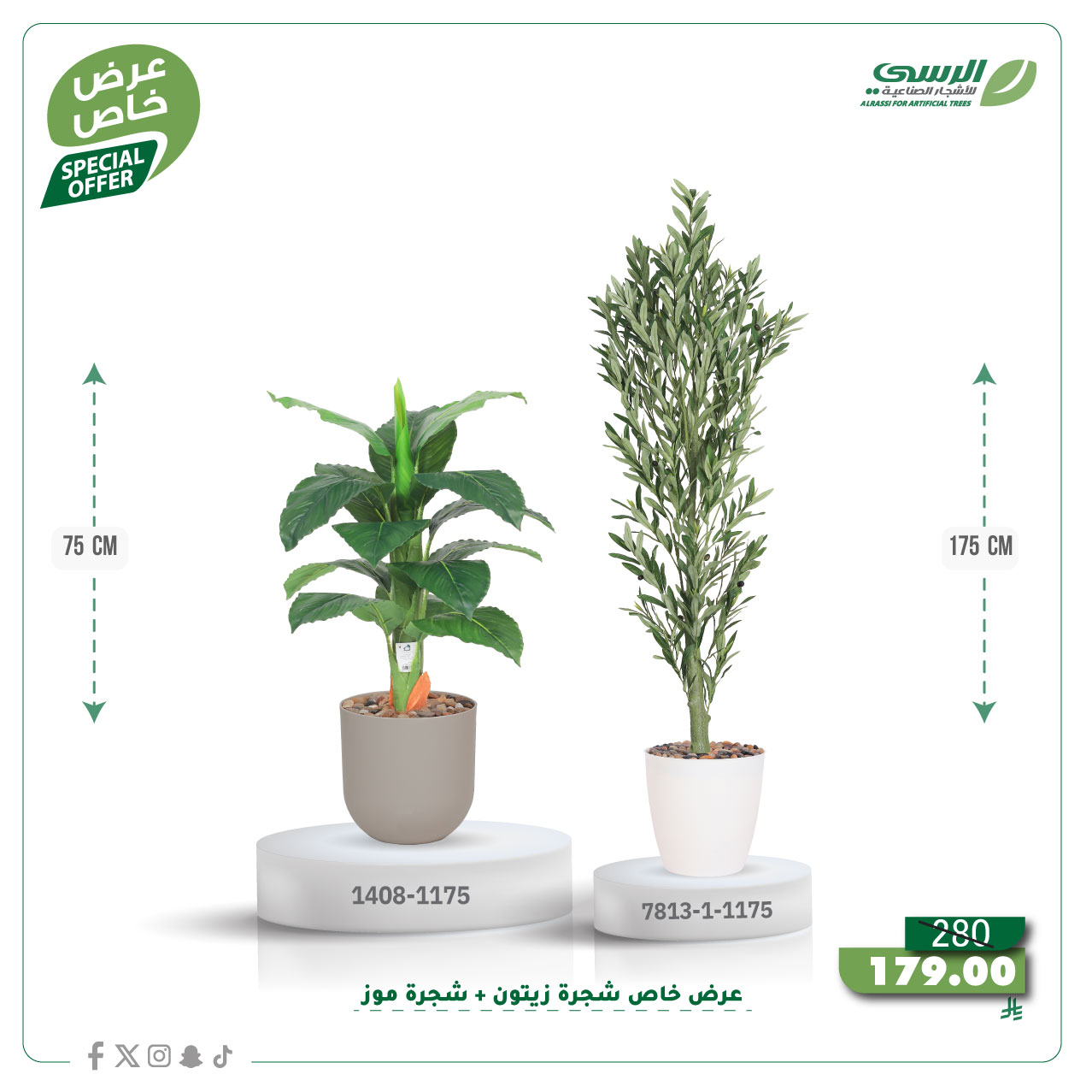  عرض شجرة زيتون صناعية ( ارتفاع 175 سم ) + شجرة ورق موز صناعية ( ارتفاع 75 سم ) حوض بلاستيك 