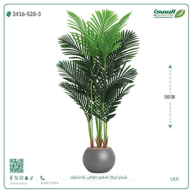  شجر أريكا صناعية ( ارتفاع 150 سم ) حوض بلاستك 
