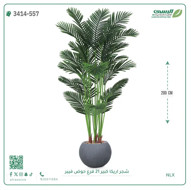  شجرة أريكا صناعية 21 فرع (ارتفاع 200 سم) حوض فيبر 