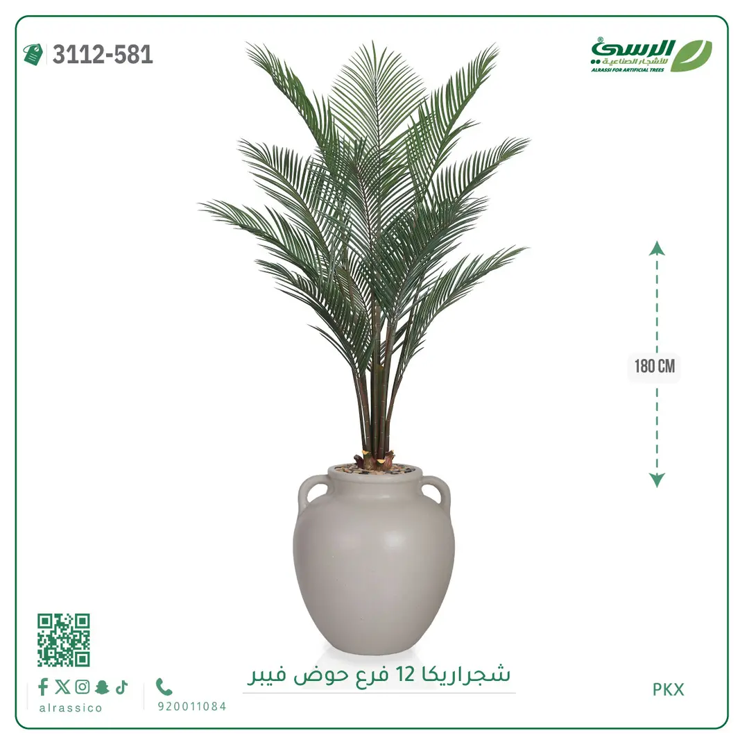  شجرة أريكا صناعية 12 فرع (ارتفاع 180 سم) حوض فيبر 