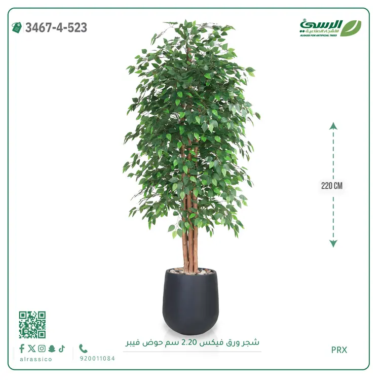  شجر فيكس صناعية (ارتفاع 220 سم) حوض فيبر 