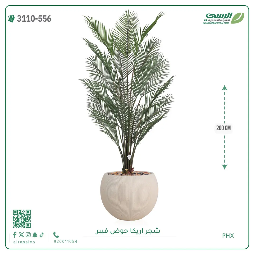  شجرة اريكا صناعية ( ارتفاع 200 سم ) حوض فيبر 