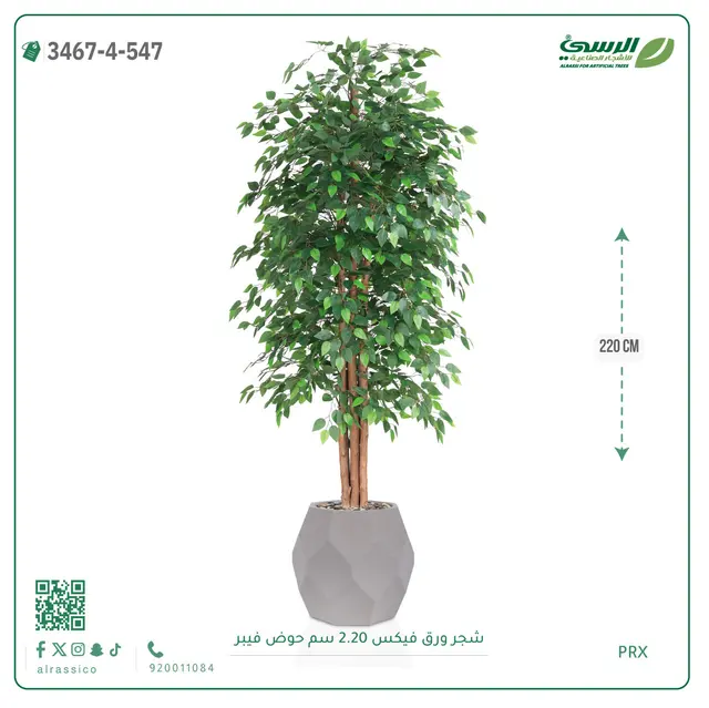  شجر فيكس صناعية (ارتفاع 220 سم) حوض فيبر 
