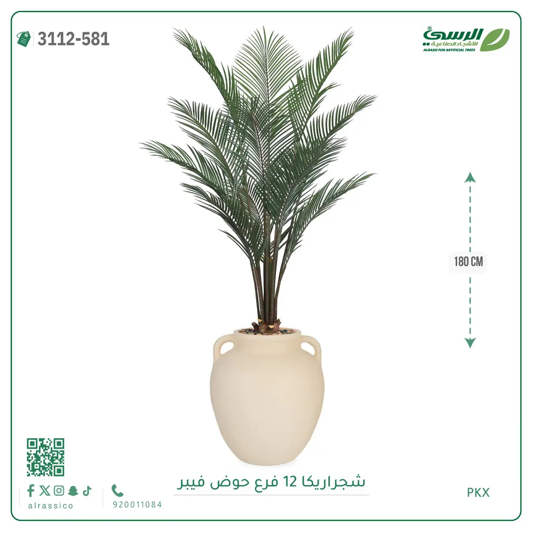  شجرة أريكا صناعية 12 فرع (ارتفاع 180 سم) حوض فيبر 