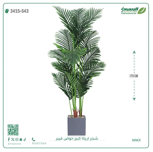 شجر أريكا صناعية ( ارتفاع 175 سم ) حوض فيبر 