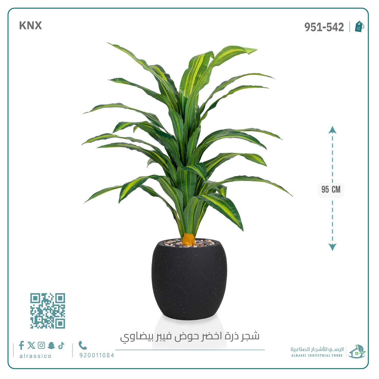  شجرة ذرة خضراء بمركن فيبر بيضاوى  
