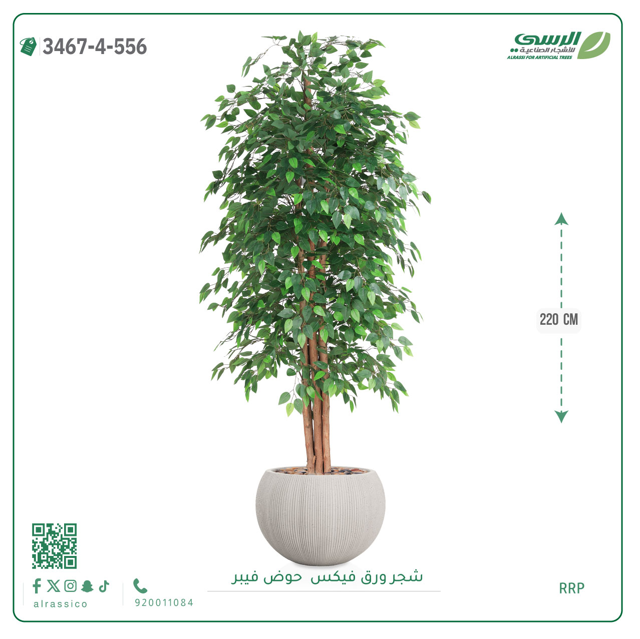 شجرة فيكس اصطناعية ( ارتفاع 220 سم ) حوض فايبر 