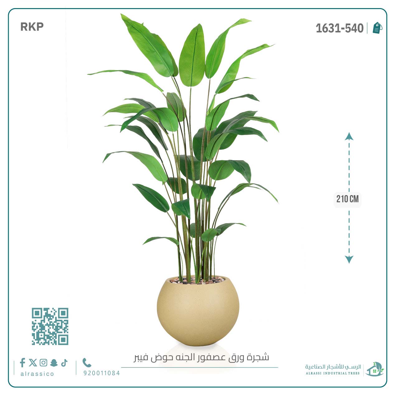  شجرة عصفور الجنة الاصطناعية الكبيرة بمركن فيبر دائرى 