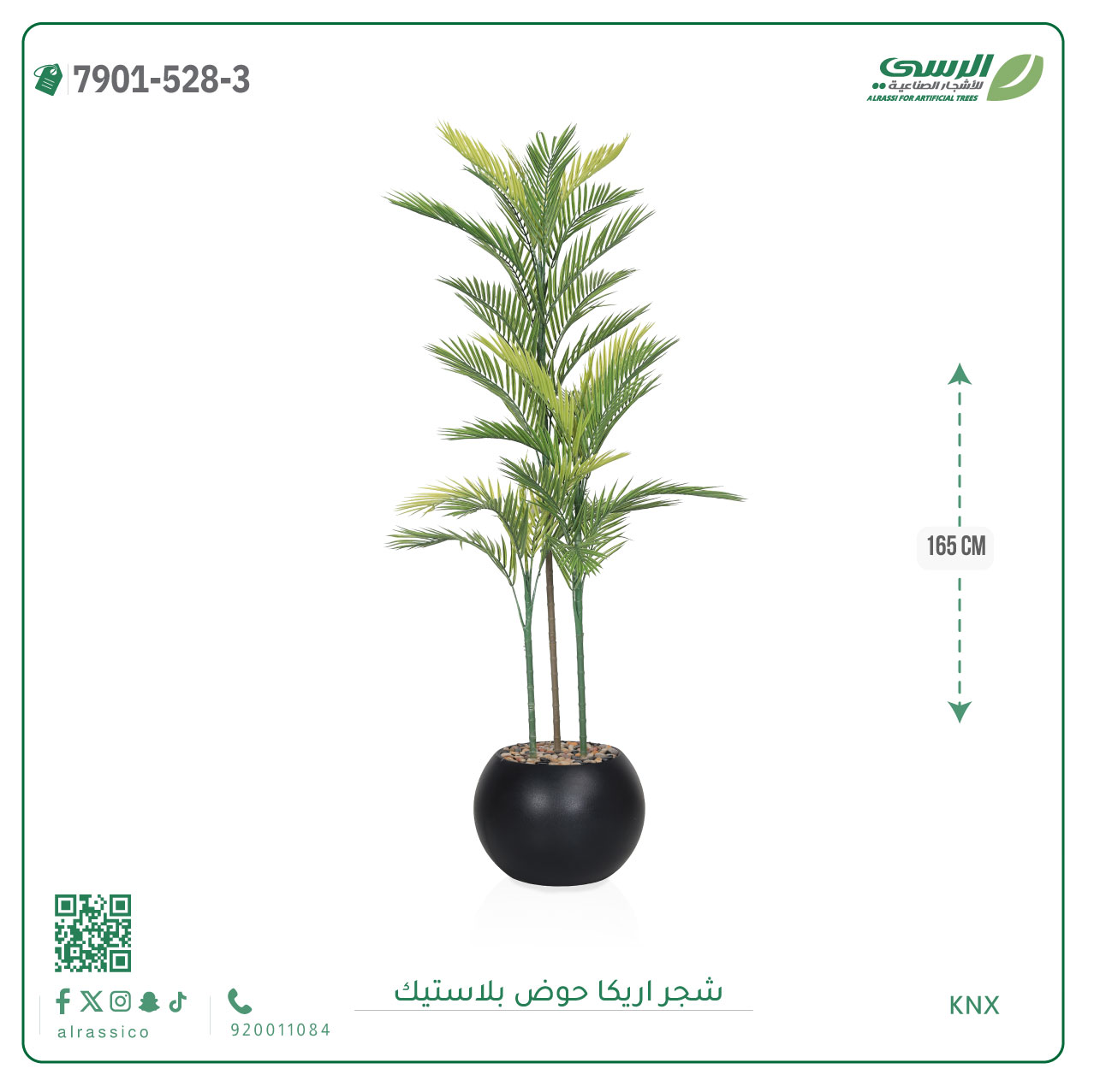  شجرة اريكا صناعية ( ارتفاع 165 سم ) حوض بلاستك 