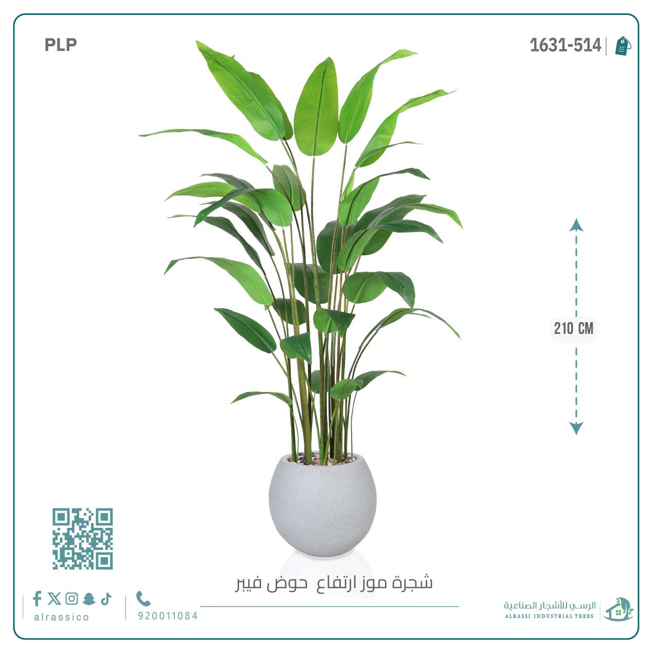  شجرة عصفور الجنة الاصطناعية الكبيرة بمركن فيبر دائرى  