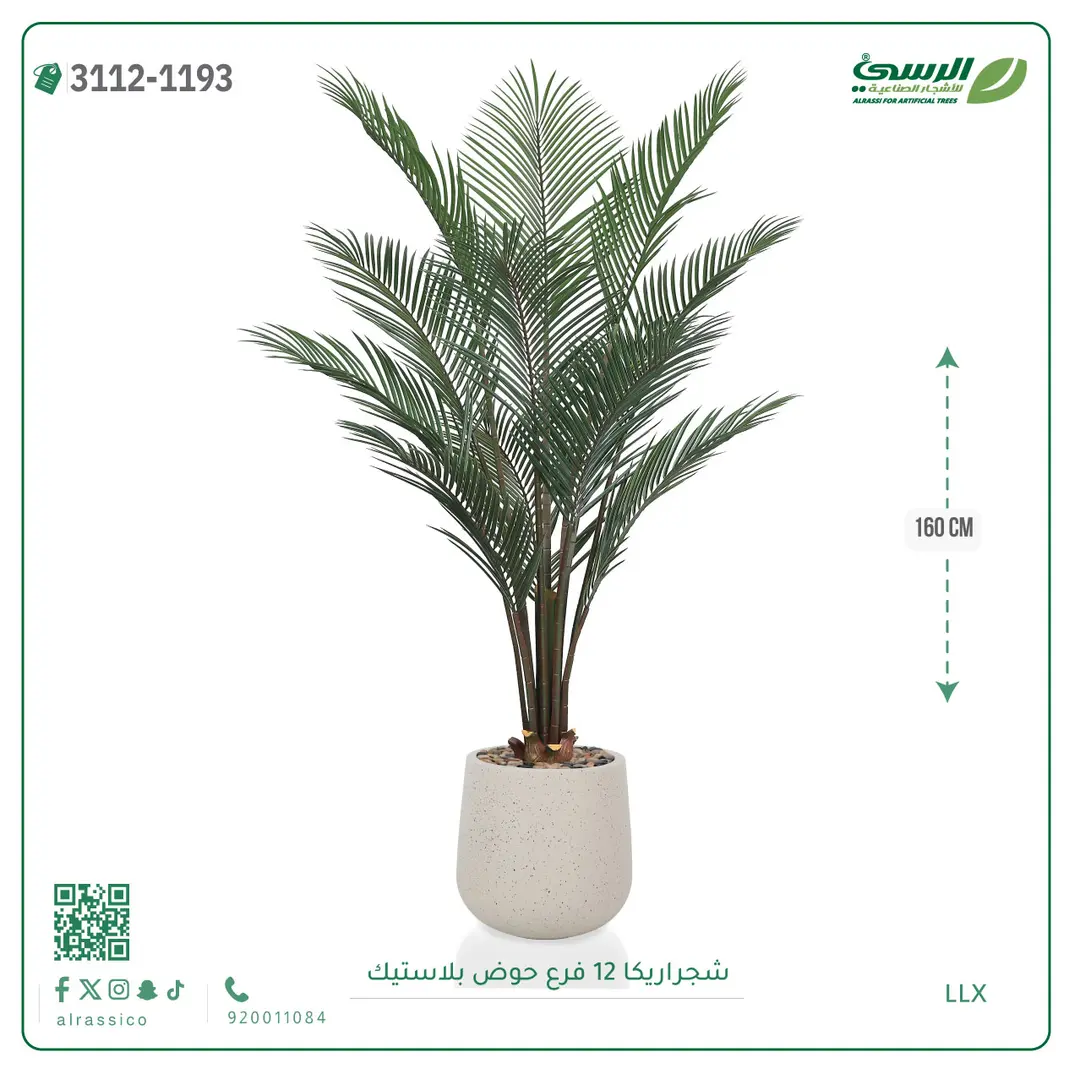  شجرة أريكا صناعية 12 فرع (ارتفاع 160 سم) حوض بلاستيك 