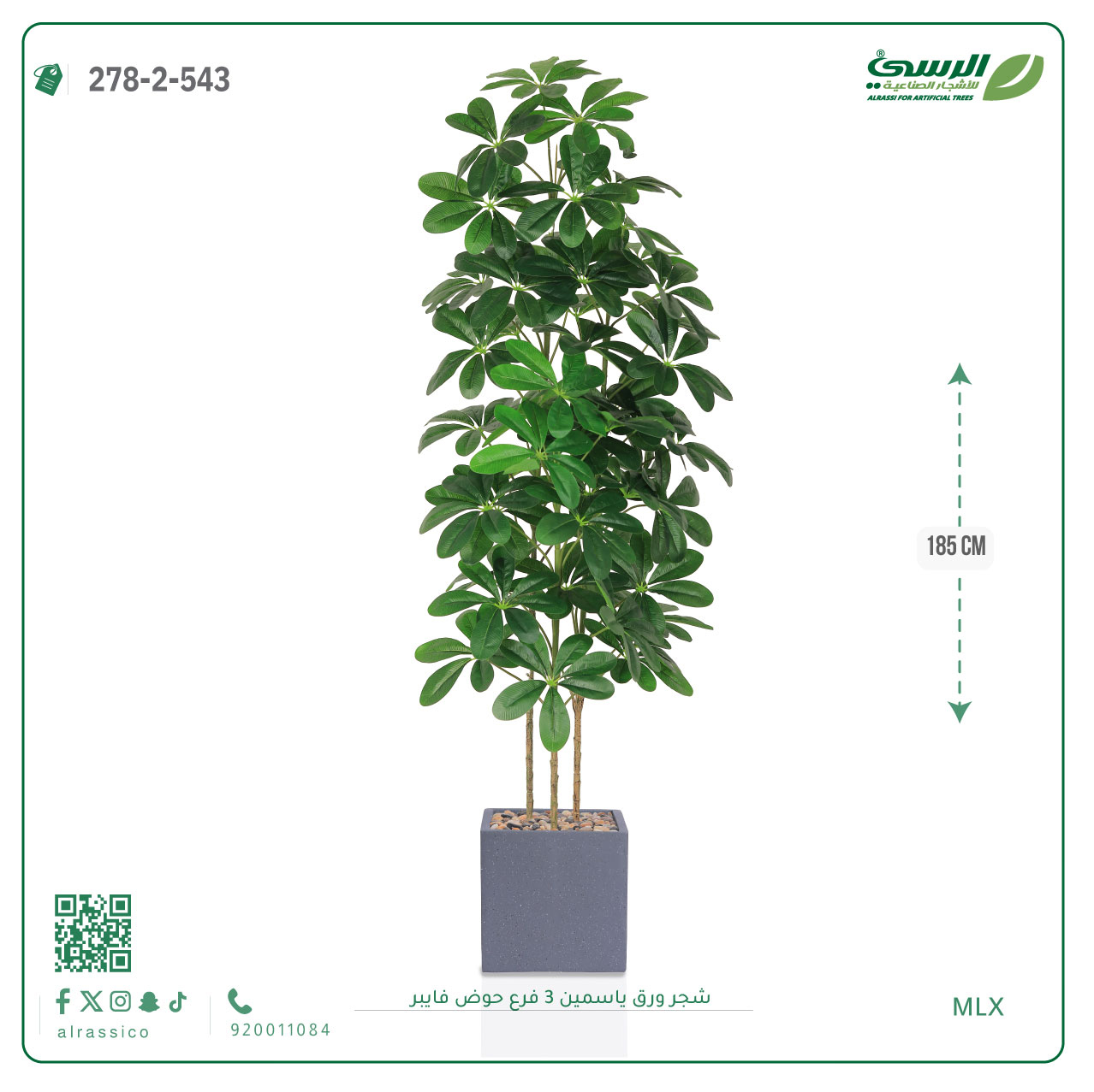  شجرة ورق ياسمين صناعية 3 فروع (ارتفاع 185 سم) حوض فيبر 