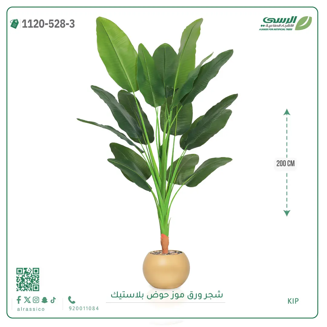  شجرة موز صناعية ( ارتفاع 200 سم ) حوض بلاستيك 