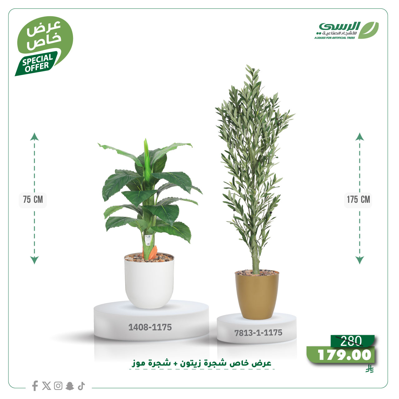  عرض شجرة زيتون صناعية ( ارتفاع 175 سم ) + شجرة ورق موز صناعية ( ارتفاع 75 سم ) حوض بلاستيك 