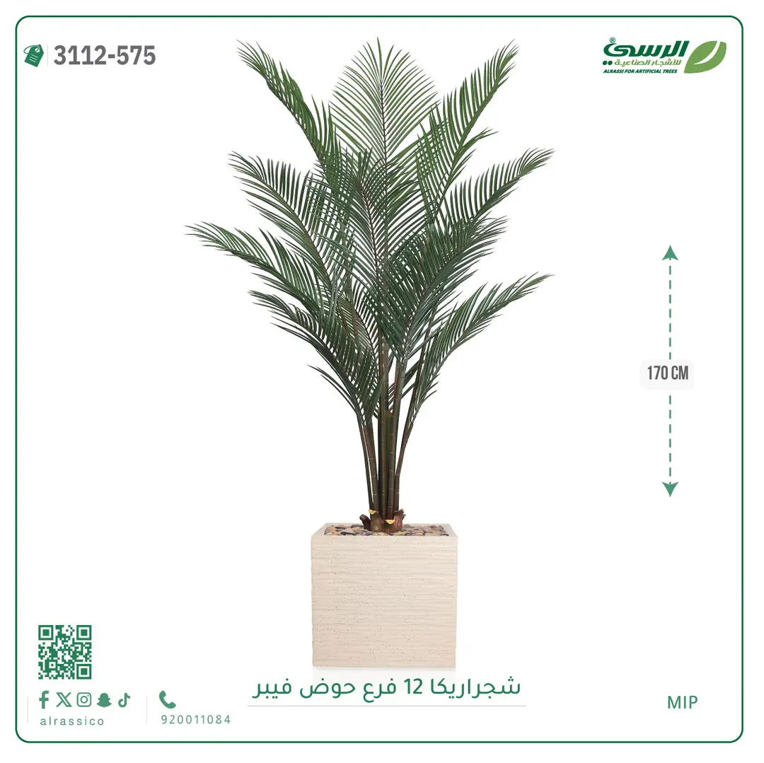  شجرة أريكا صناعية 12 فرع (ارتفاع 150 سم) حوض فيبر 
