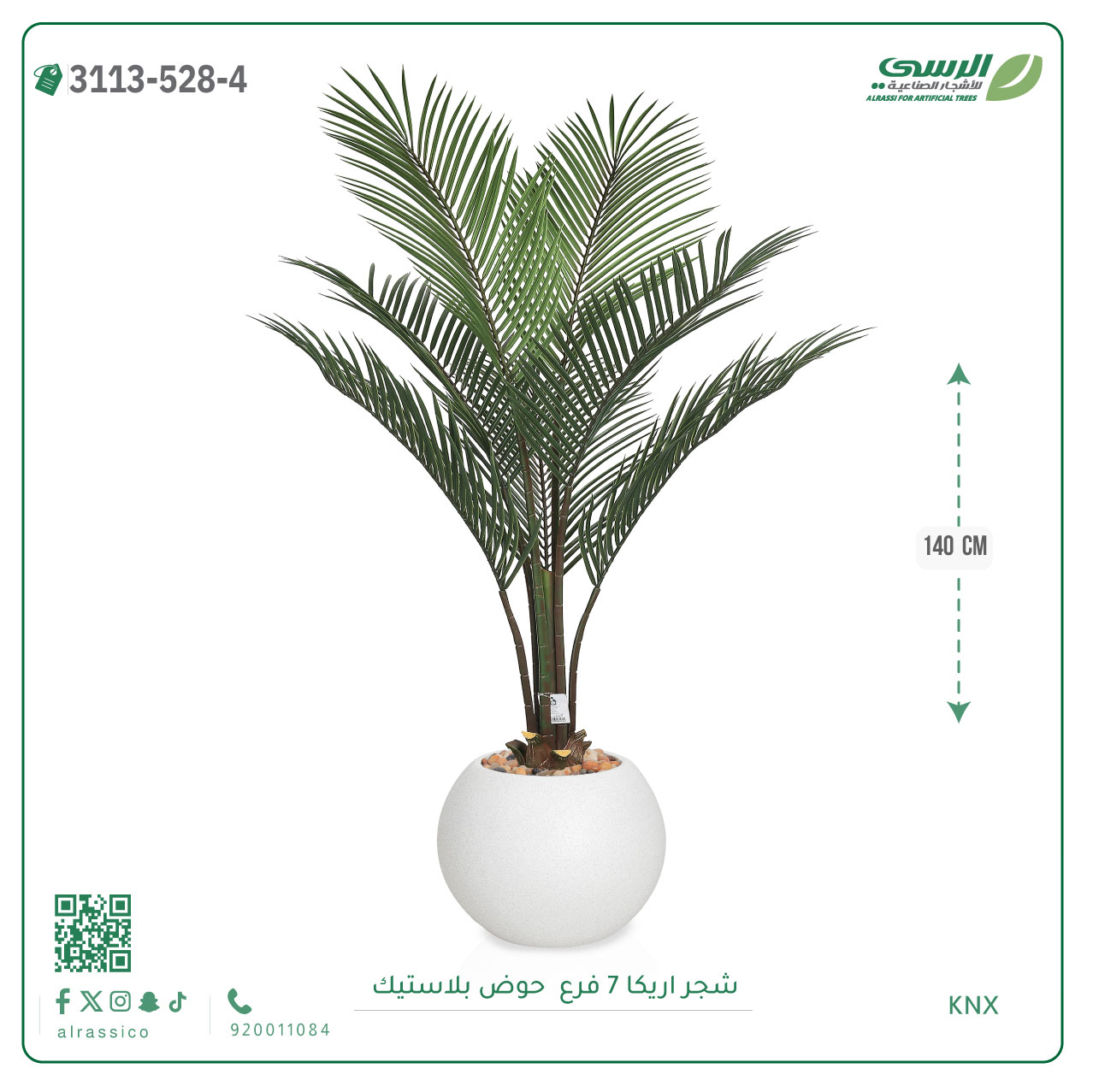   شجر أريكا (7 فروع) بارتفاع(140)بمركن بلاستيك دائرى  