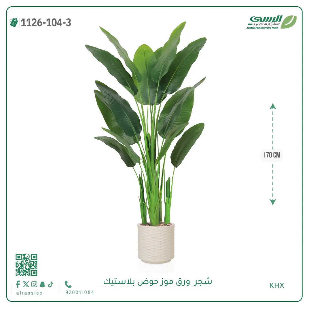  شجرة موز صناعية ( ارتفاع 170 سم ) حوض بلاستيك 
