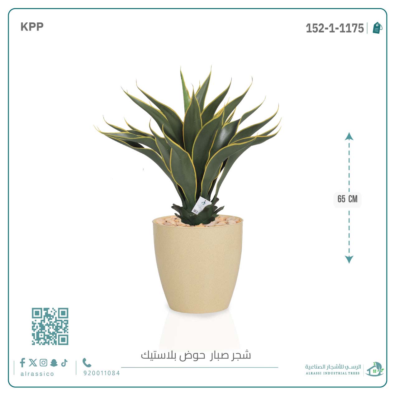  صبار ذيل الثعلب الصناعي بمركن بلاستيك اسطوانى  