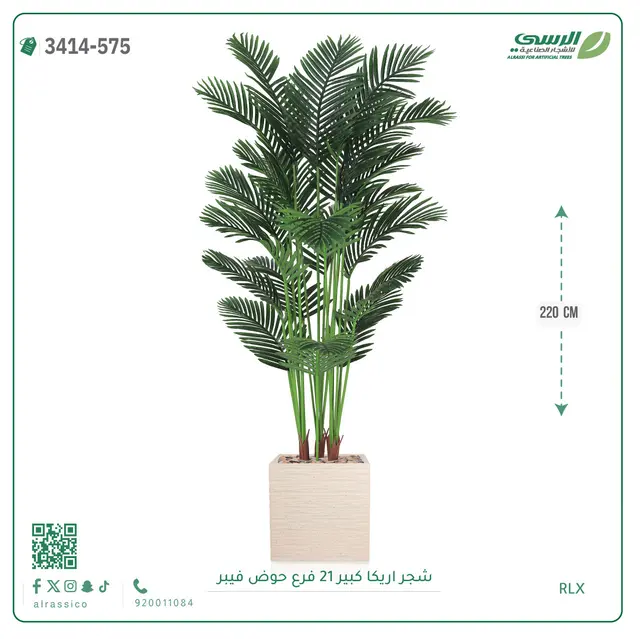  شجرة أريكا صناعية 21 فرع (ارتفاع 220 سم) حوض فيبر 