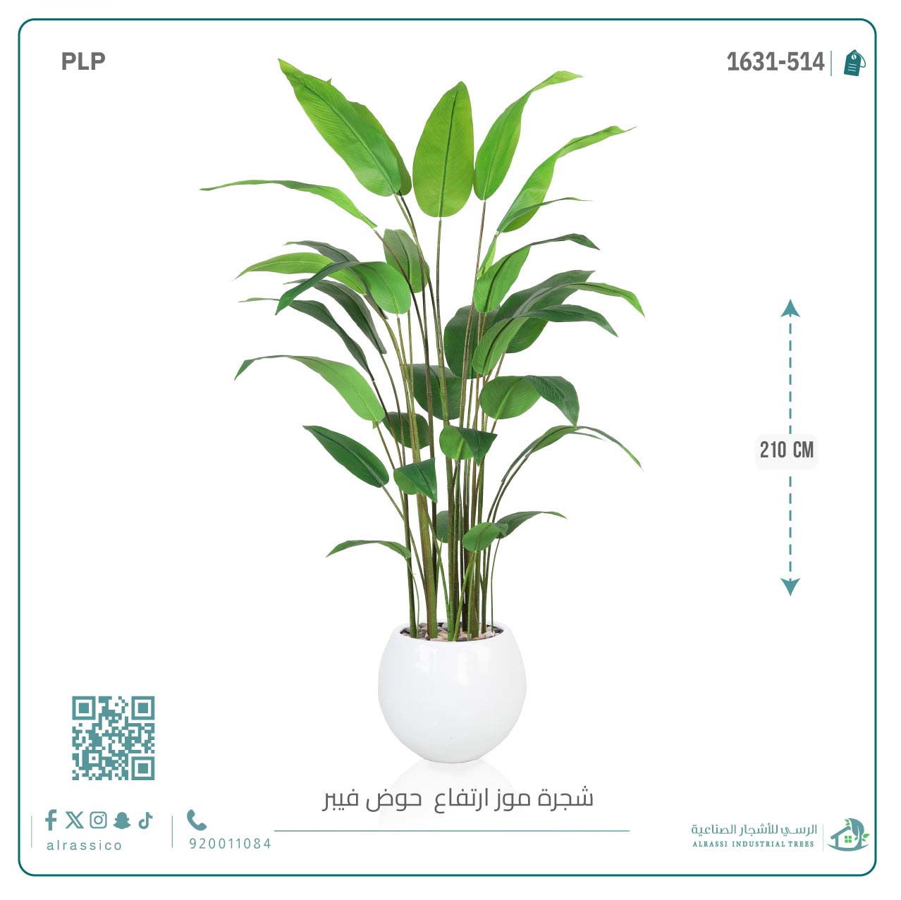  شجرة عصفور الجنة الاصطناعية الكبيرة بمركن فيبر دائرى  