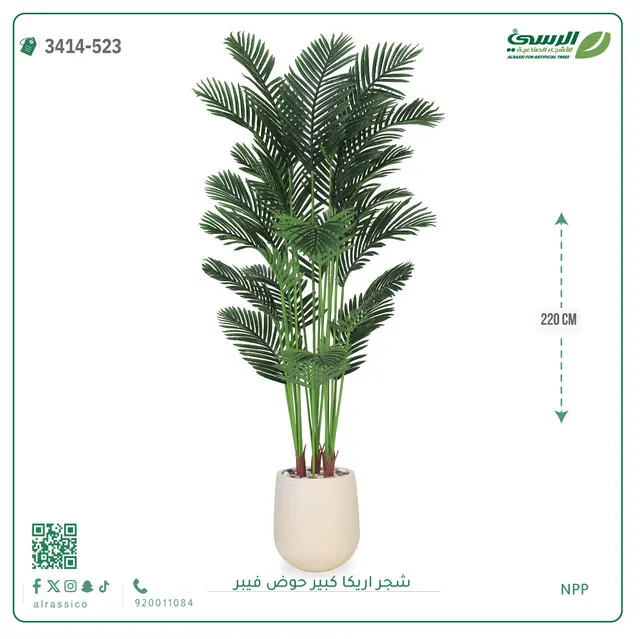  شجر أريكا صناعية ( ارتفاع 220 سم ) حوض فيبر 