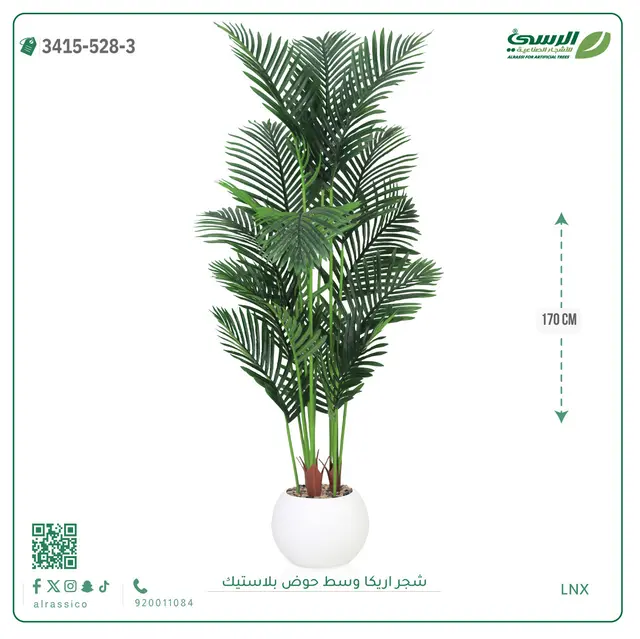  شجر أريكا صناعية ( ارتفاع 170 سم ) حوض بلاستك 