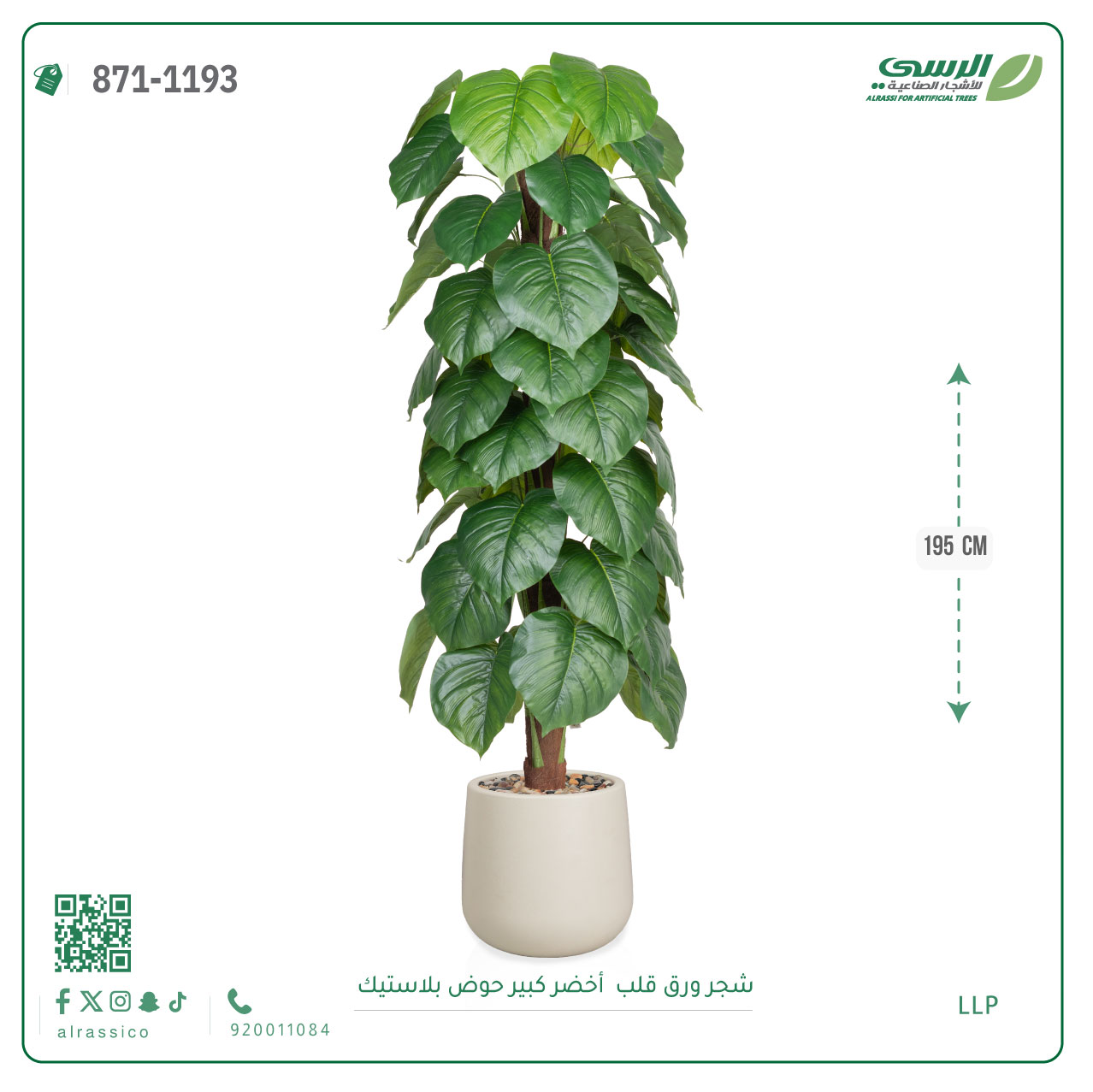  شجرة ورق قلب(ألوكاسيا) اصطناعية ( ارتفاع 195 سم ) حوض بلاستيك 