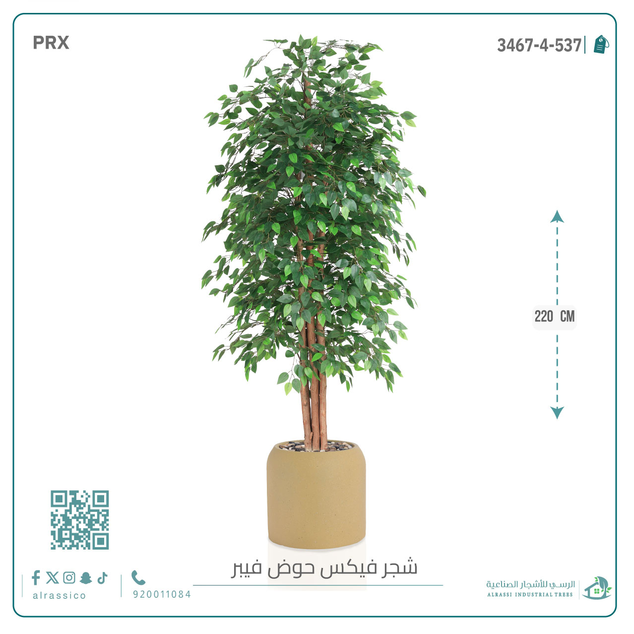  شجرة ورق فيكس اصطناعية بمركن فيبر  أسطواني 