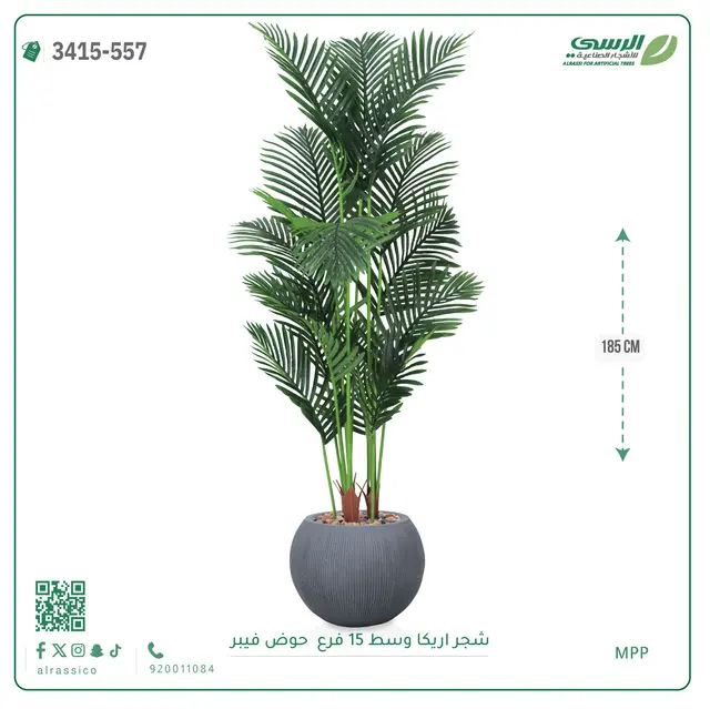  شجرة أريكا صناعية 15 فرع (ارتفاع 185 سم) حوض فيبر 