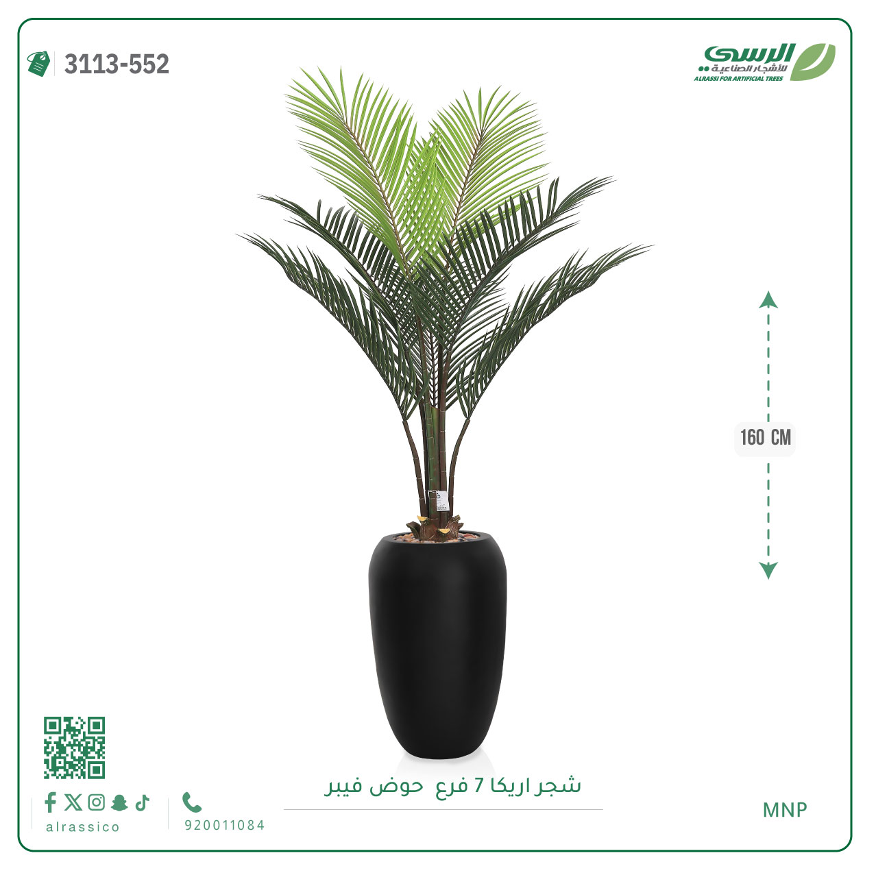  شجر أريكا (7 فروع) بارتفاع (160)بمركن فيبر أسطواني 