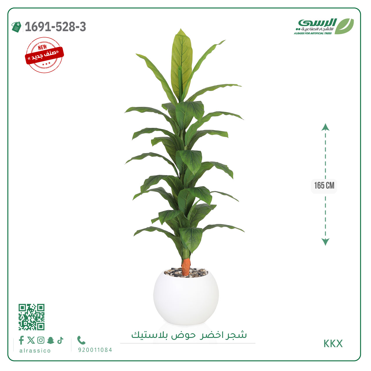   شجرة ورق أخضر وسط بمركن بلاستيك دائرى  